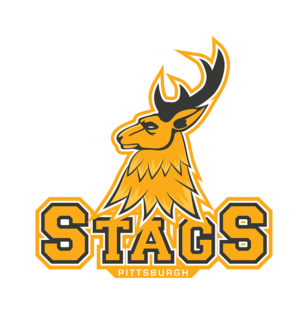 NBA Pittsburgh stags Logo Design Project