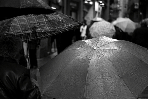 barcelona rain water Umbrella birds Street Bike ground stone drop black White personas  gente  lluvia 