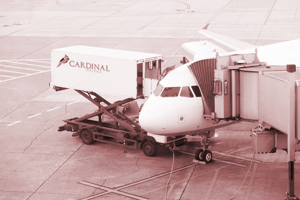 cardinal airline Airlines plane planes design concept bird SCAD