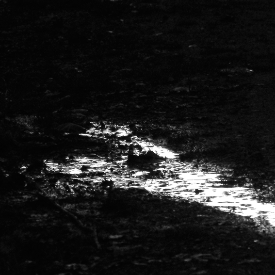 night nocturne black and white