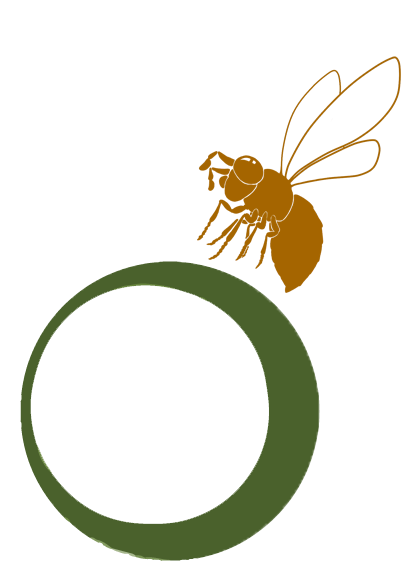 bio biologico arte trichogramma vespa ovo insetos artrópodes entomología design