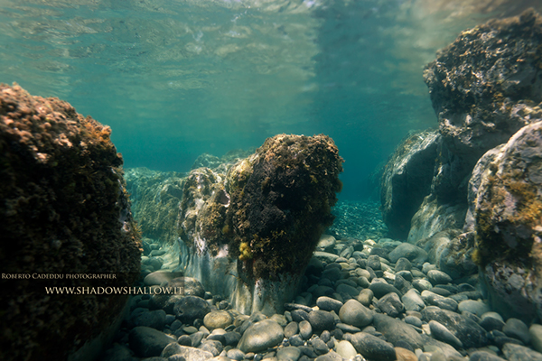 underwater Landscape
