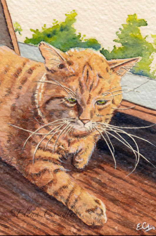 Pet portrait of a red cat made with watercolors by Elena Casiglio