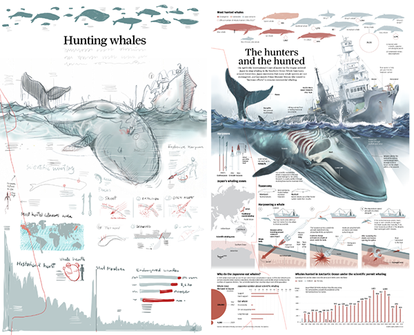 Infographics: The importance of the rough sketch