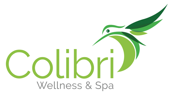 colibri bird logo template modern elegant Spa Wellness Yoga resort