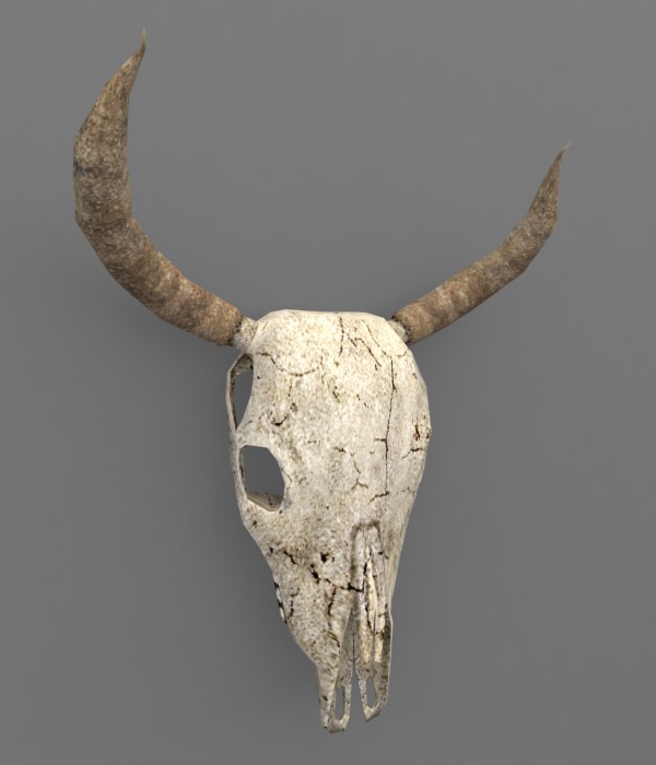 3D Low Poly skull animal