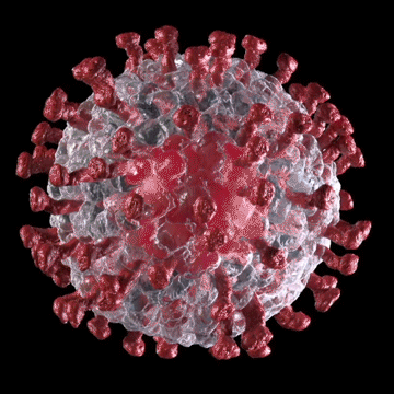 COVid COVID-19 gif virus corona Coronavirus