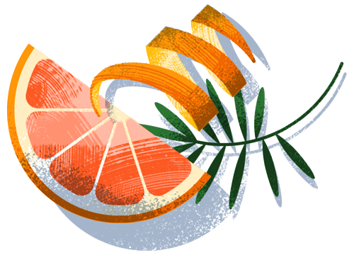 Grapefruit, rosemary orange zest illustration vignette by Adrian Bauer