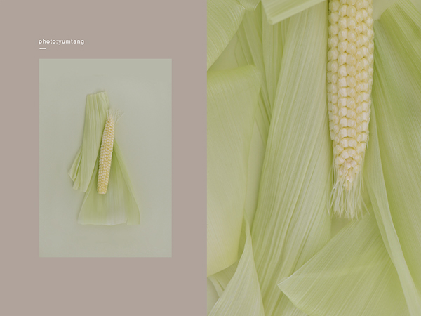 baby corn 褶皱之美