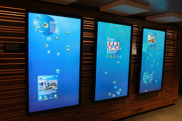 multitouch exhibit aquarium interactive Ideum multitouch wall touch touch wall multitouch wall sea life interactive marine life