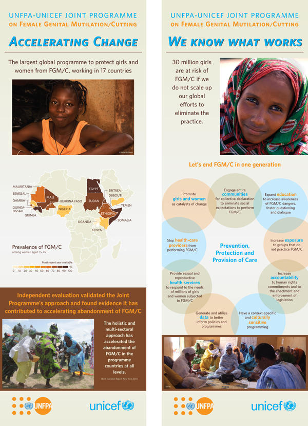 UNFPA unicef FGM/C female circumcision africa infographics Human rights women's rights data visualization Data Viz