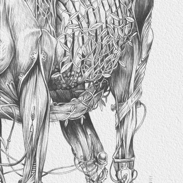 horse caballo Cyborg robot mecanico anatomy animal