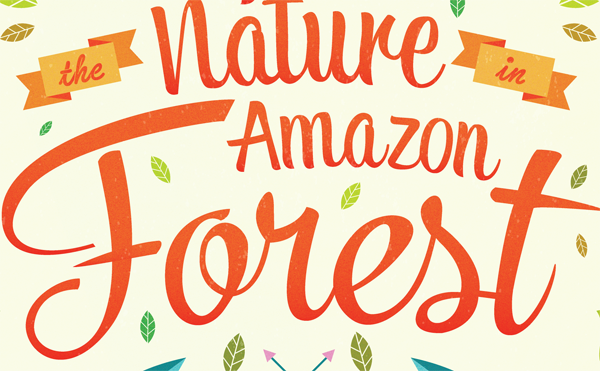 artwork vector type lettering Nature Amazon forest adobe Illustrator wacom bamboo exposition