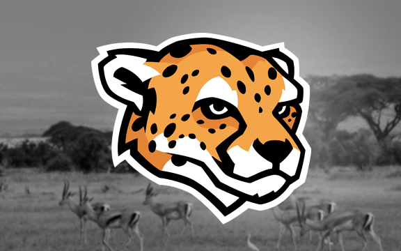 logos animals sports brand owl cheetah Cat