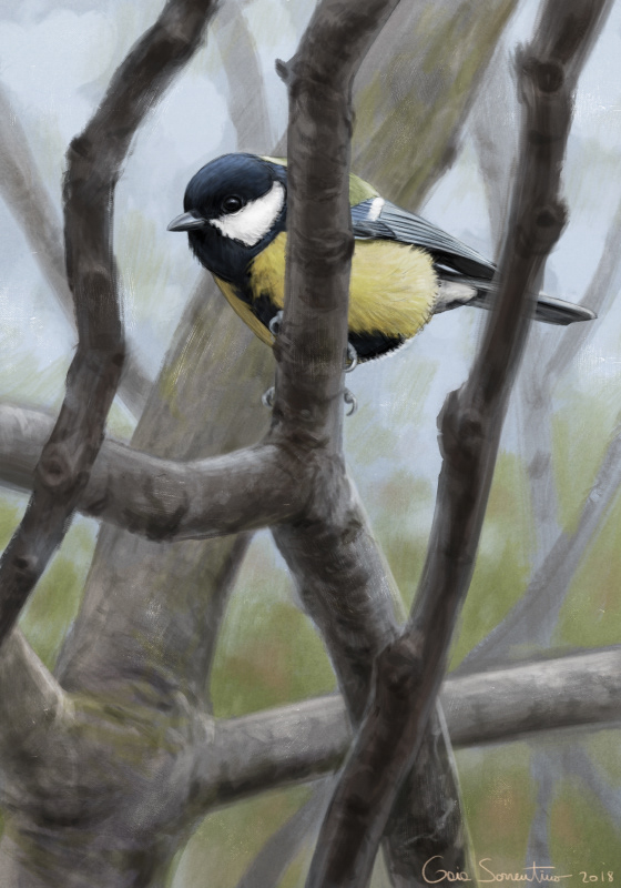 Birds - Digital paintings II on Behance