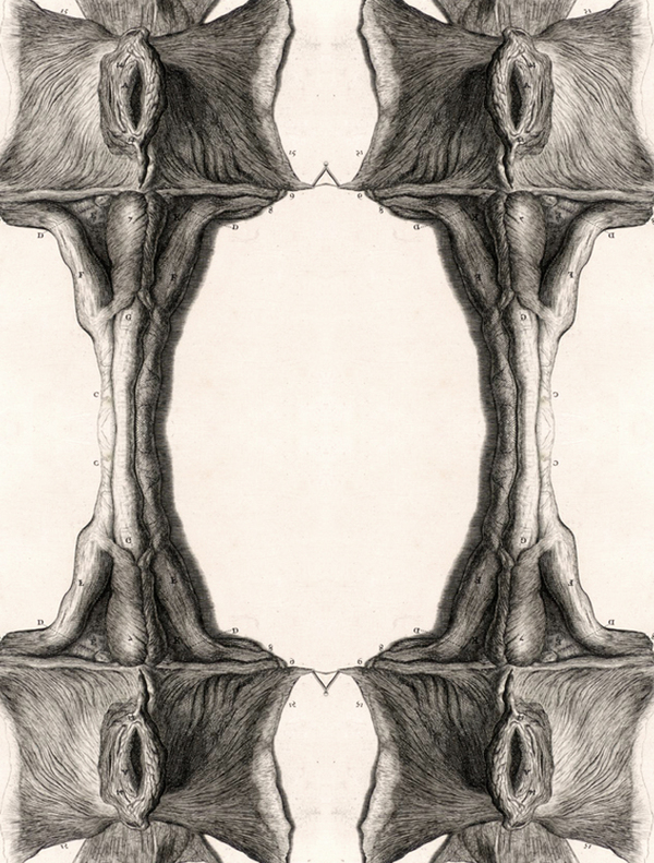 collage medical anatomical anatomy scientific pattern