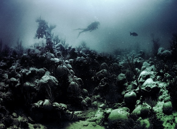 Bermuda underwater wrecks scuba