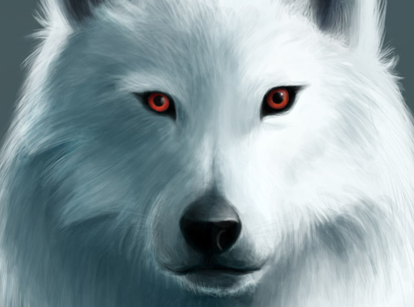 White  wolf digital painting animal