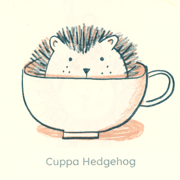 comic kids Hedgehog cute Picture book kidlit animails