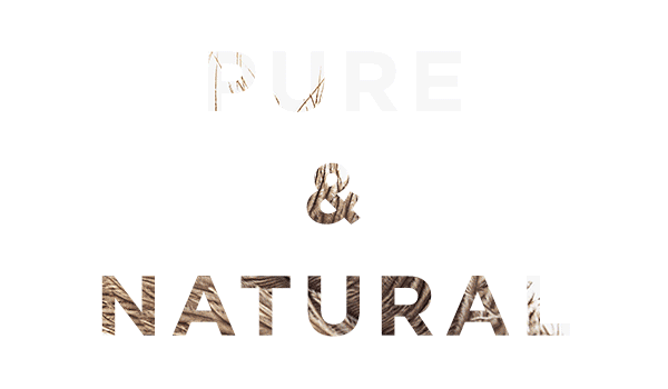 Nature rebranding anvin green wood clean graphic Web digital Renders visualisation cinema 4d package