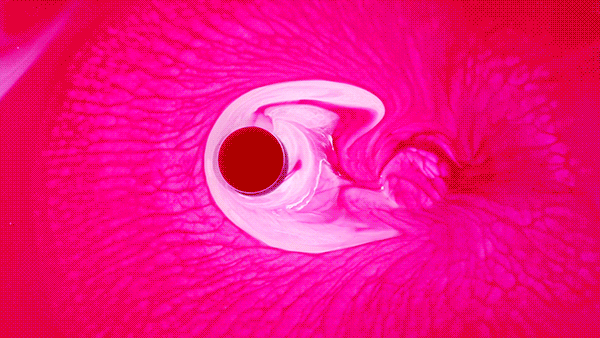 dunkin' donuts pink art photo video videoart donut valentines abstract