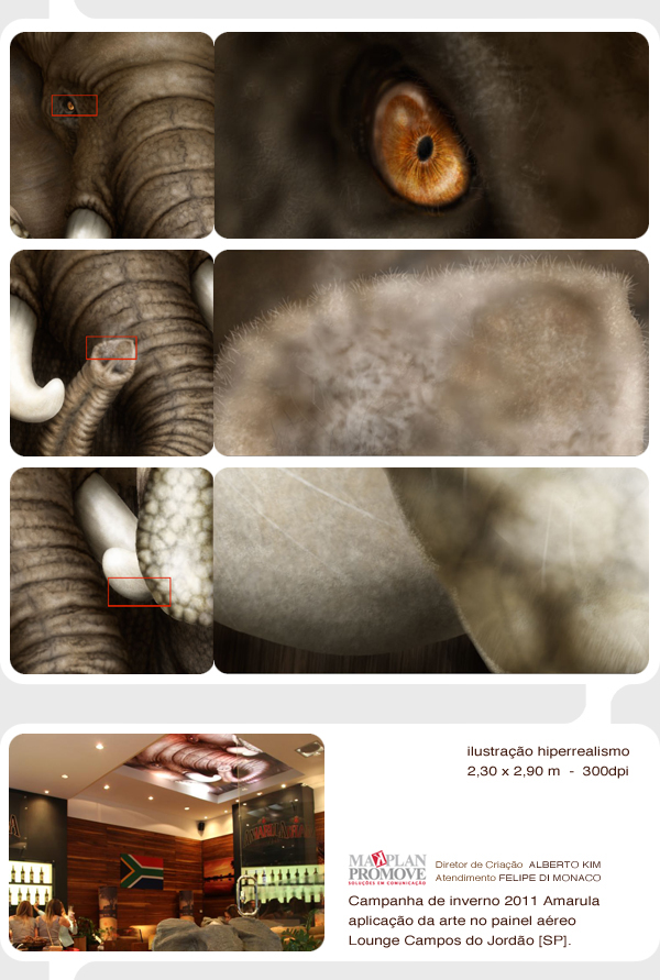 amarula elephant