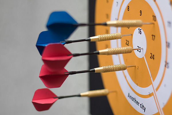 Dorogaya awarded calendar Custom Chobotaryov dart diagrams target practice targeting 2011