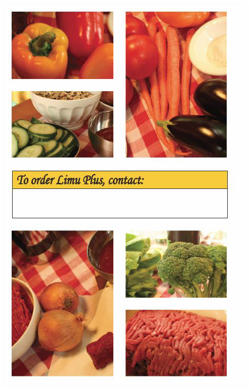 Booklet Food  smoothies recepies setting Erving Croxen chef Michel Houle Vitamark International Limu Plus