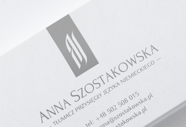 logo business card Website identity