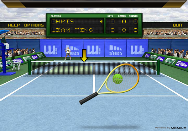 casual Games desktop Flash photoshop 3D 3dsmax tennis match3 Pool characters