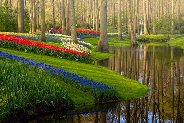 World's Most Beautiful Garden, Without People