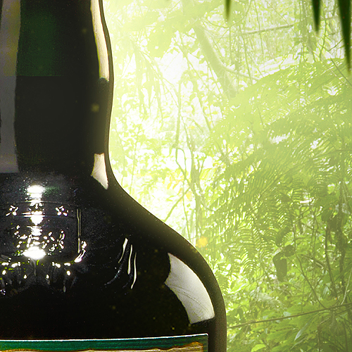 bottle Rum alcool Nature jungle Island volcano rocks palm Plan green light forest Ambiant pirat