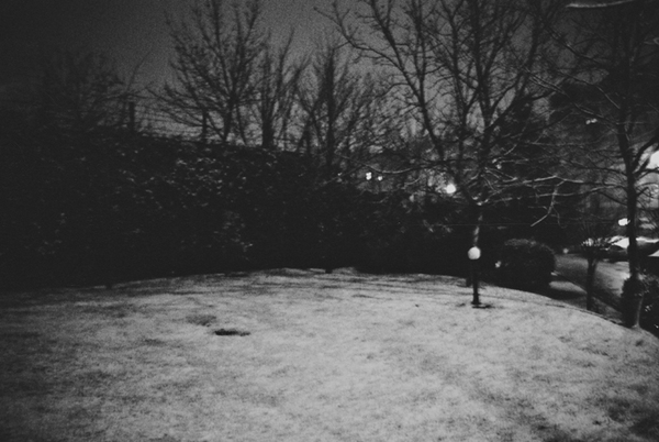 black White night winter rain snow