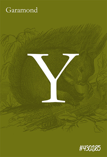 type typograph tipografia design