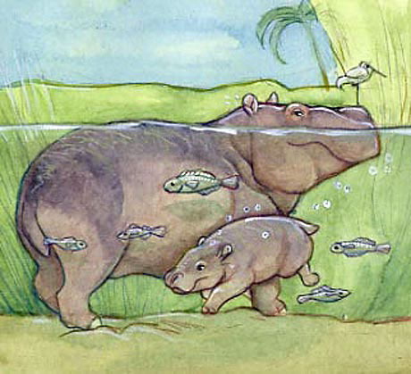 Children's Books educational books animals Nature biology