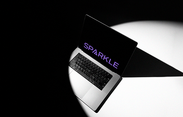 SPARKLE. Logo. Brand identity