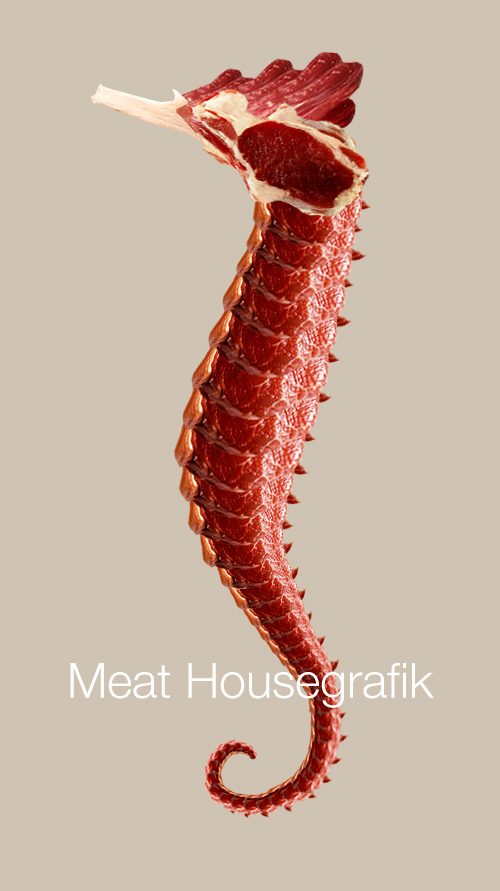 housegrafik sea meat sea horse