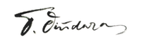 lettering Custom handwritten Script logo identity forsureletters