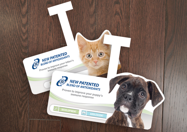 puppy kitten magazine medical Royal Canin dog Cat pet food Pet Layout brochure Header sell sheets cd