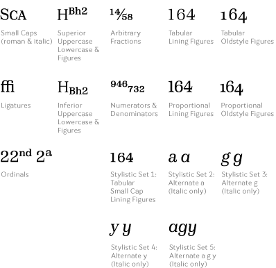 fonts wedge-shaped serifs vietnamese
