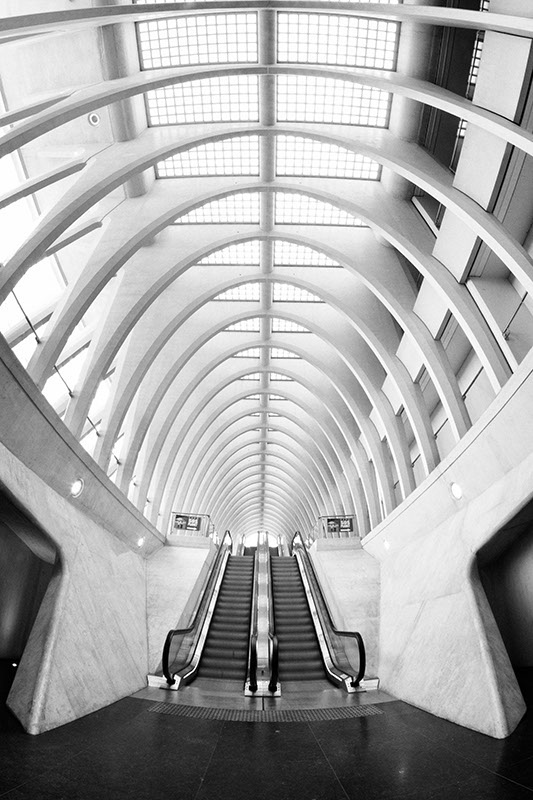 canon eos 7D liège Guillemins train STATION calatrava abstract futuristic geoffrey Gilson www.geoffreygilson.net