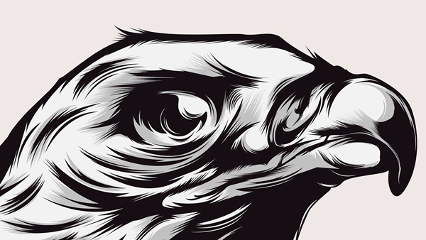eagle ILLUSTRATION  vector bestvector eye details blackandwhite bird tattoo graphicart