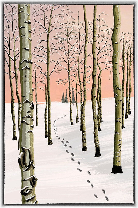 aspens christmas card DAWN snow spruce trees