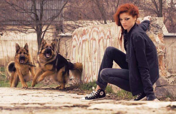 Dogs Run urban forrest Munira Alimukhamedova Fashion