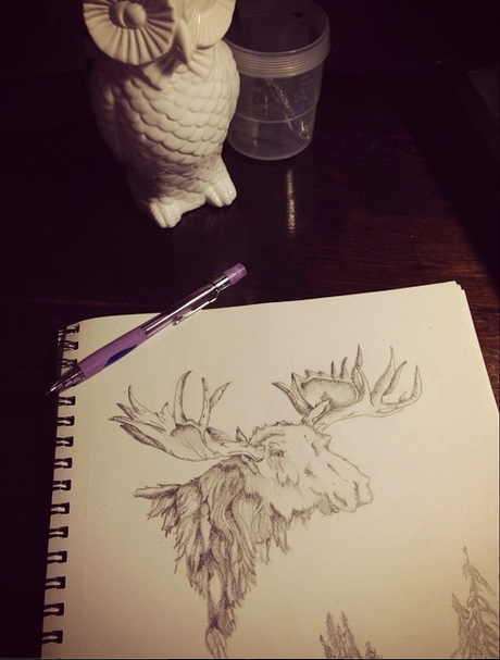 sketch pencil animal wolf moose moon bird