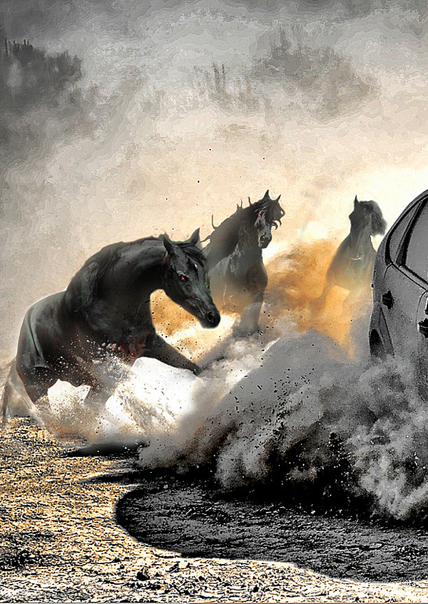 horse Ford fordfocus car retouch digitalphotograpy advertisingcar road toughroad firatdoger