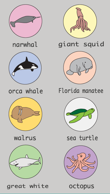 sea creatures  infographic  narwhal walrus Whale octopus Squid shark Turtle manatee infographic narwhal