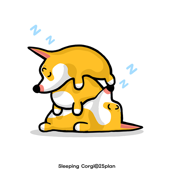 Sleeping Corgi 4