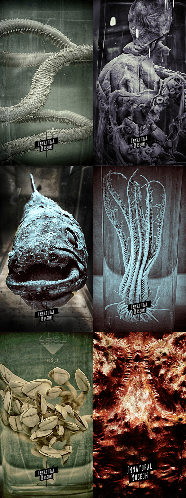 museum Ocean shanghai unnatural dark horrible specimen biology animal