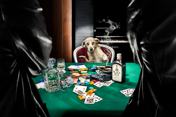 Dog Dogs poker advertising tv couch Cani Biono Uolter